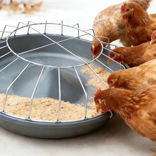 ถาดให้อาหารไก่ อ่างอาหารสัตว์ปีก แบบกลม ป้องกันการสเปร็ด ขนาด 30/40/50ซม. สำหรับไก่ เป็ด ห่าน
