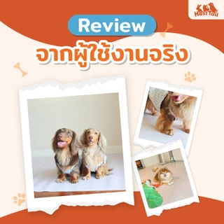 Hosttail แผ่นรองกันลื่นสัตว์เลี้ยง แผ่นรองพื้นสัตว์เลี้ยง รุ่น Safe space (หนา 0.6 ซม.)