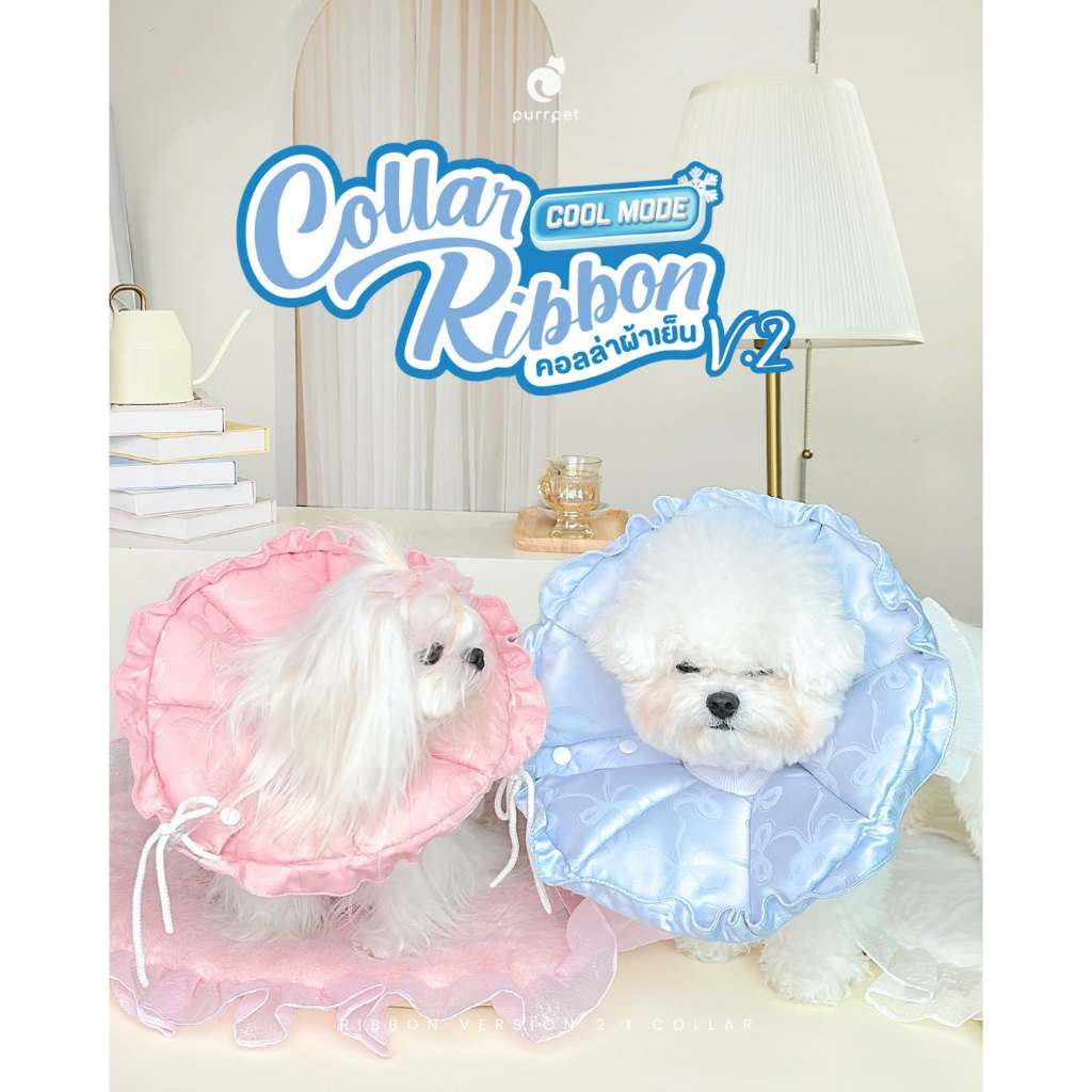 ส่งด่วนได้ ! (รบกวนทักสอบถามไซส์) Purrpet Collar Ribbon Cool Mode คอลล่ากันเลีย เนื้อผ้านุ่มลื่น สบาย น้ำหนักเบา