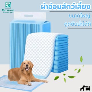 แพมเพิสหมา แผ่นซับฉี่ ผ้ารองฉี่สุนัข ที่รองฉี่สุนัข แผ่นรองฉ…