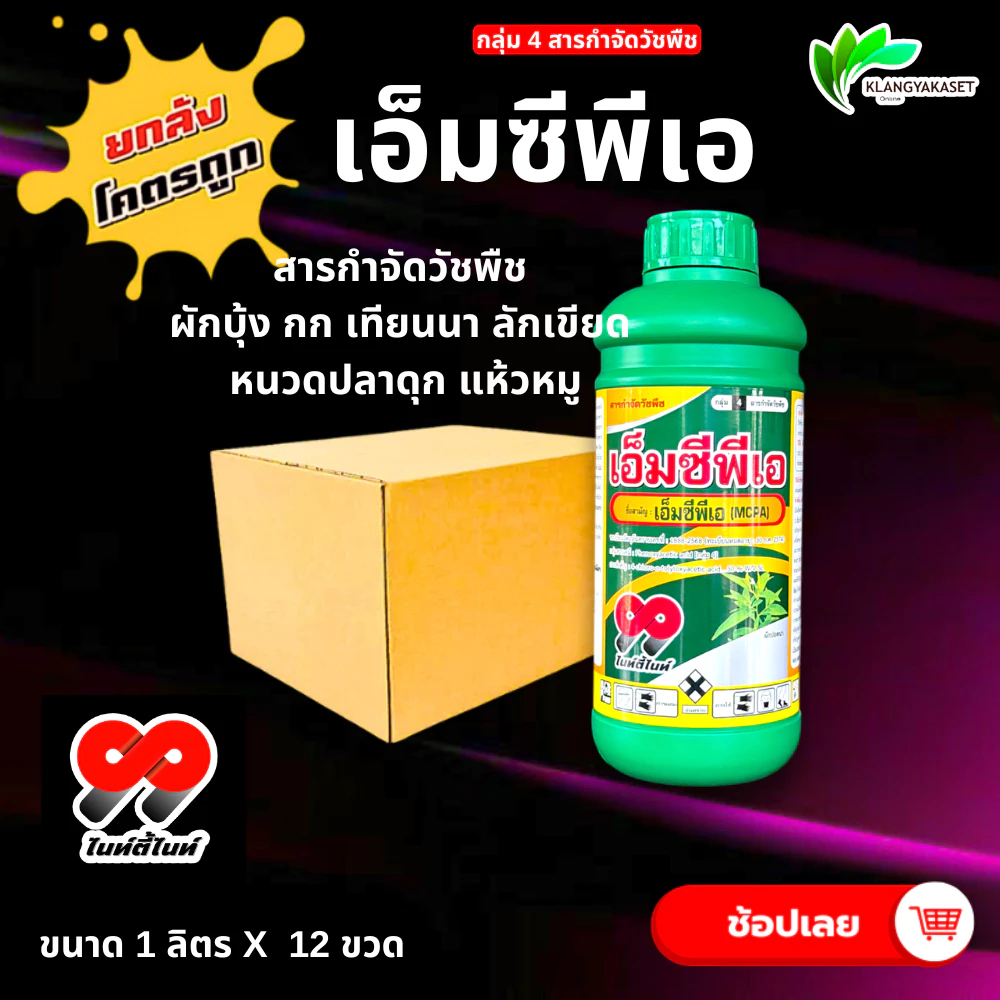ยกลัง 12 ขวด เอ็มซีพีเอ 99 1 ลิตร เอโซ่ 300 เอโซ่30 กำจัดวัชพืชใบกว้าง กก ใช้ใน นาข้าว ไร่อ้อย ข้าวโพด