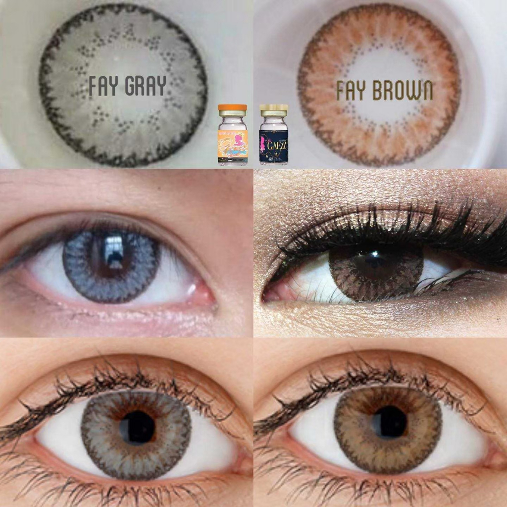 FAY Brown-Gray (เฟย์ น้ำตาล-เทา) คอนแทคเลนส์รายเดือน มี อย.ไทย สินค้าพร้อมส่ง