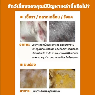 🐶แนะนำโดยสัตวแพทย🐱สเปรย์ผิวหนังสัตว์เลี้ยง ขี้เรื้อน เชื้อราแมว เกลื้อน 510ml สูตรธรรมชาติ ปลอดภัย