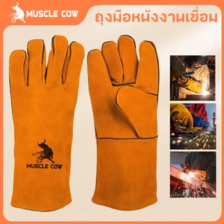 MUSCLE COW ถุงมือหนังงานเชื่อม 10.5" และ13" ทำจากหนังวัวชั้นที่ 2 ทั้งชิ้น เบาและสามารถระบายอากาศได้ดีถุงมือพิเศษทนต่อ