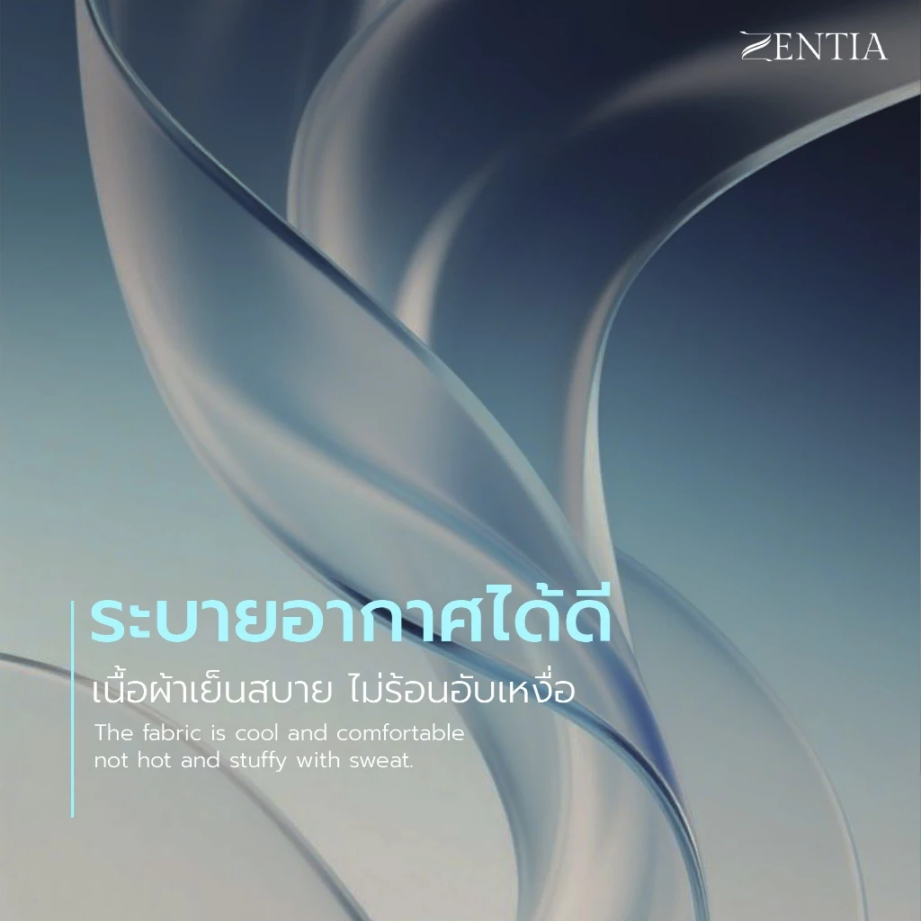 ZENTIA ชุดผ้าปูพร้อมผ้านวมรุ่น COOL LUXE ผ้าแพรพิมพ์ลาย EE thumbnail 6