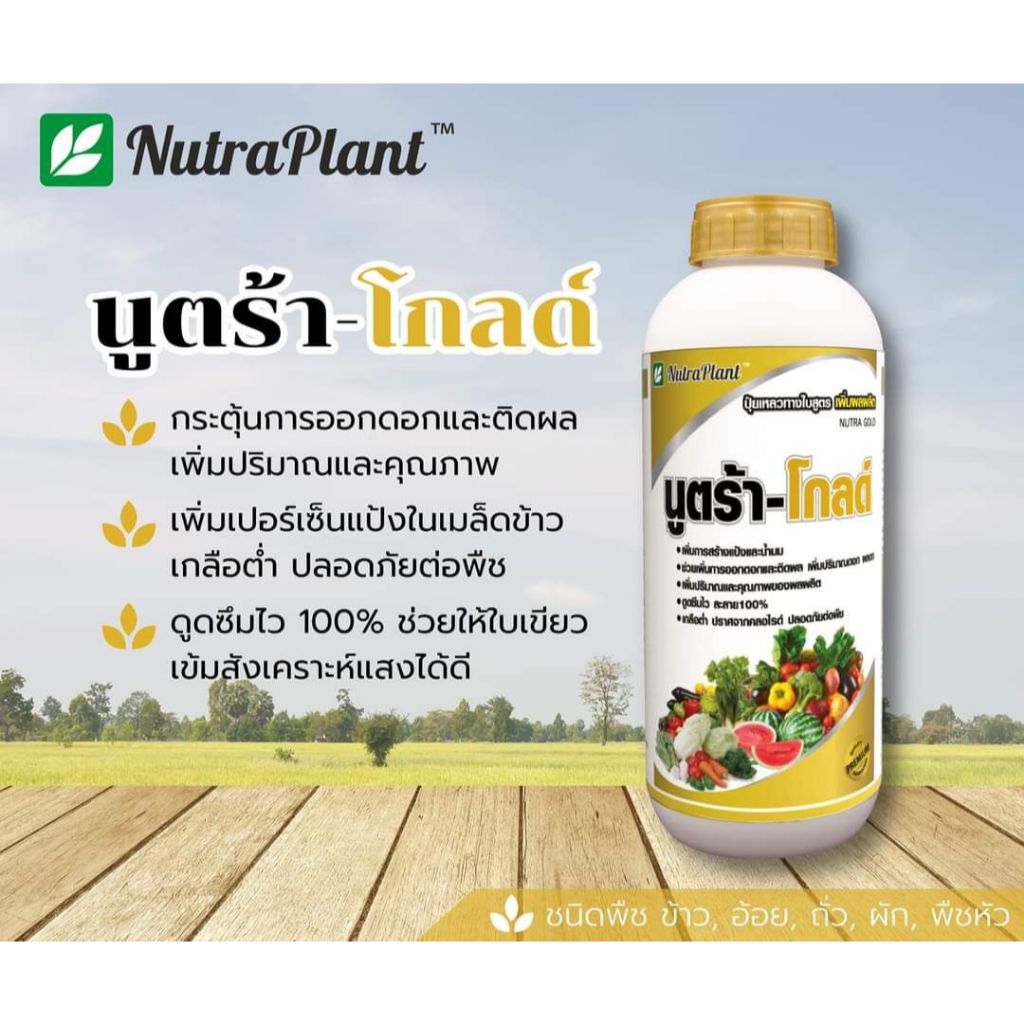 นูตร้าโกลด์ ขนาด 500 ซีซี ปุ๋ยน้ำโมเลกุลเล็กดูดซึมไวพืชนำไปใช้ทันทีสะสมอาหารเร่งแป้งสร้างเนื้อเพิ่มน้ำหนักเพิ่มผลผลิต
