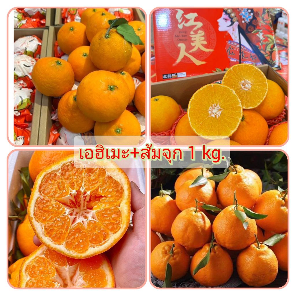 setรวมส้มเอฮิเมะ+ส้มจุก 1 kg. ส้มเอฮิเมะเนื้อเยลลี่ผลนุ่ม,ส้มจุกเก็จส้มใหญ่คล้ายส้มโอ