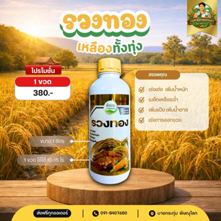 (พร้อมส่ง)รวงทอง น้ำตาลทางด่วน+ อะมิโน ช่วยสร้างแป้ง เพิ่มน้…