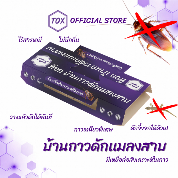 TOX บ้านกาวดักแมลงสาบ | มีเหยื่อสังเคราะห์ในตัว | ดักแมลงสาบเเละจิ้งจกได้ทุกสายพันธุ์ | ไร้สารเคมี | ปลอดภัย