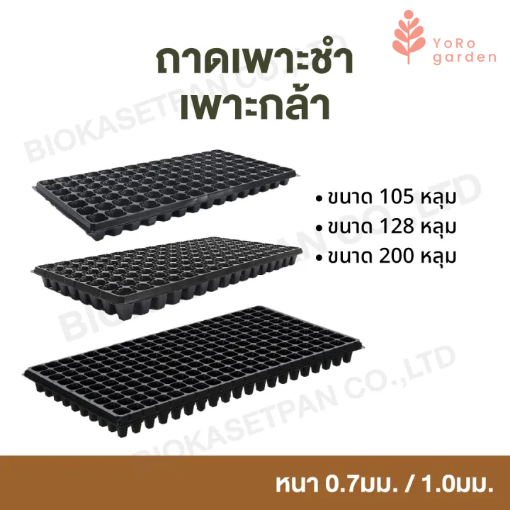 ถาดเพาะกล้า ถาดเพาะเมล็ด ขนาด 105, 128, 200 หลุม หนา 0.7 มม./ 1.0 มม.