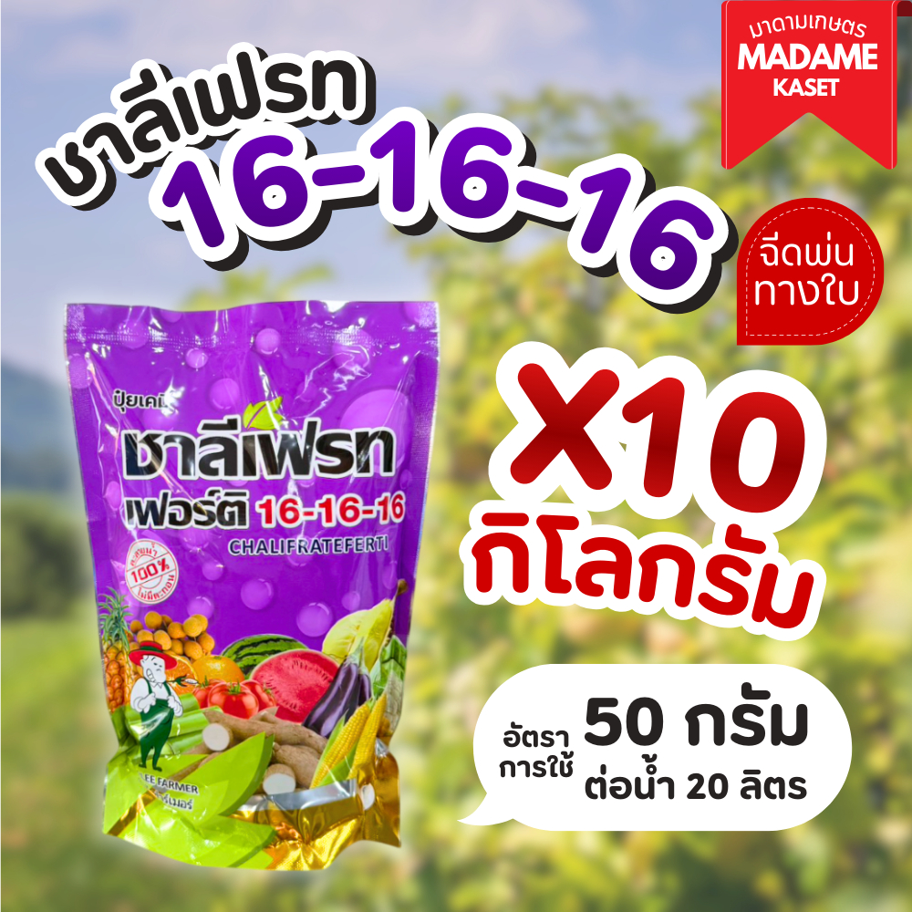 ยกแพ็คx10กิโลกรัม | ปุ๋ยเกล็ดชาลีเฟรท สูตรเสมอ 16-16-16 บำรุงราก เร่งใบและต้น ช่วยติดดอก ขนาด 1 กิโลกรัม