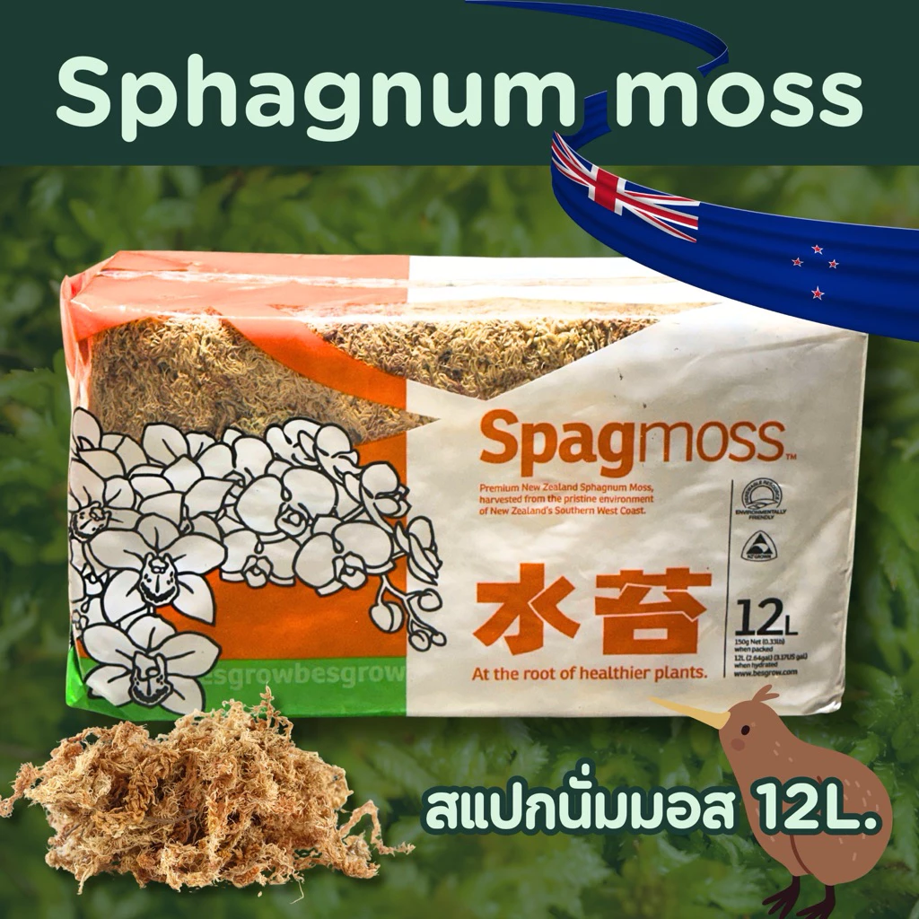12L. สแฟกนั่มมอส 150g. New Zealand Dry Sphagnum Moss for rooting สำหรับอนุบาลไม้ ชำไม้ วัสดุเพาะปลูก