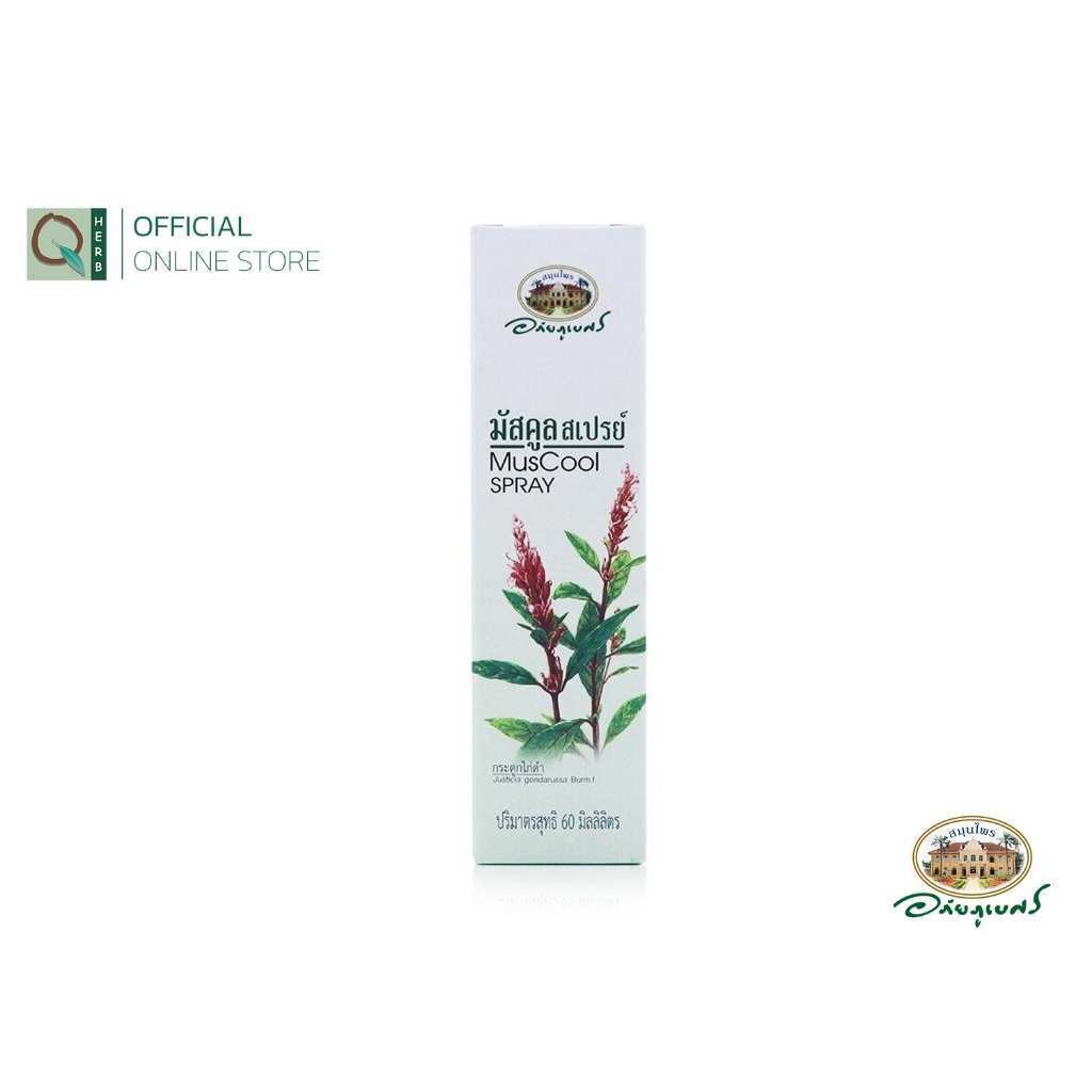 อภัยภูเบศร มัสคูล สเปรย์ 60 มล. เซตคู่ (2ชิ้น) - รูปที่ 3