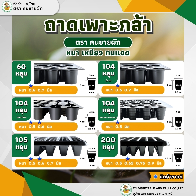 ถาดเพาะกล้า ถาดเพาะชำ ถาดเพาะเมล็ด ต้นอ่อน ขนาด 60, 104, 105, 200หลุม 50ใบ/100ใบ
