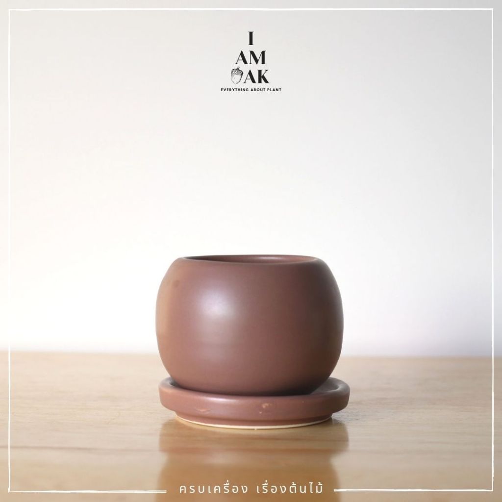 Minimalist Round Ceramic Pot with Narrow Opening [BY GS] - View 6
