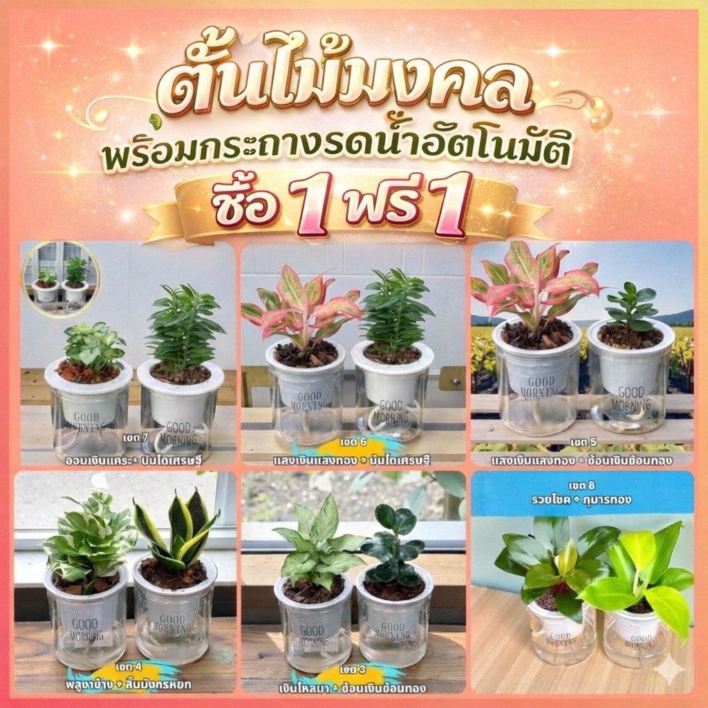 พร้อมส่ง✅(ตั้งพรีกันระบบยกเลิก) ต้นไม้มงคลพร้อมกระถางรดน้ำอัตโนมัติ ต้นไม้จิ๋ว ต้นไม้ฟอกอากาศ เลี้ยงง่าย  [ซื้อ 1 ฟรี 1]