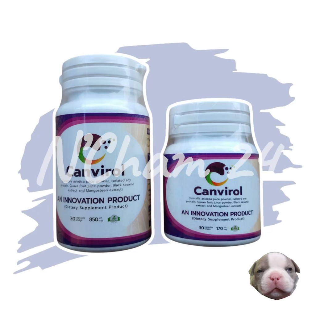 Canvirol 170mgและ850 mg (บรรจุ30แคปซูล) หมดอายุ 10/2027 อาหารเสริมภูมิต้านทานสุนัขและแมว