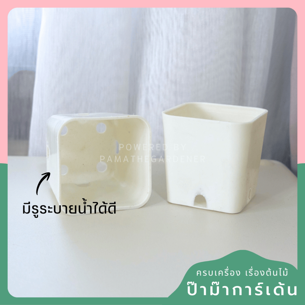 2-inch Square Plastic Pot with Drainage Holes - View 2