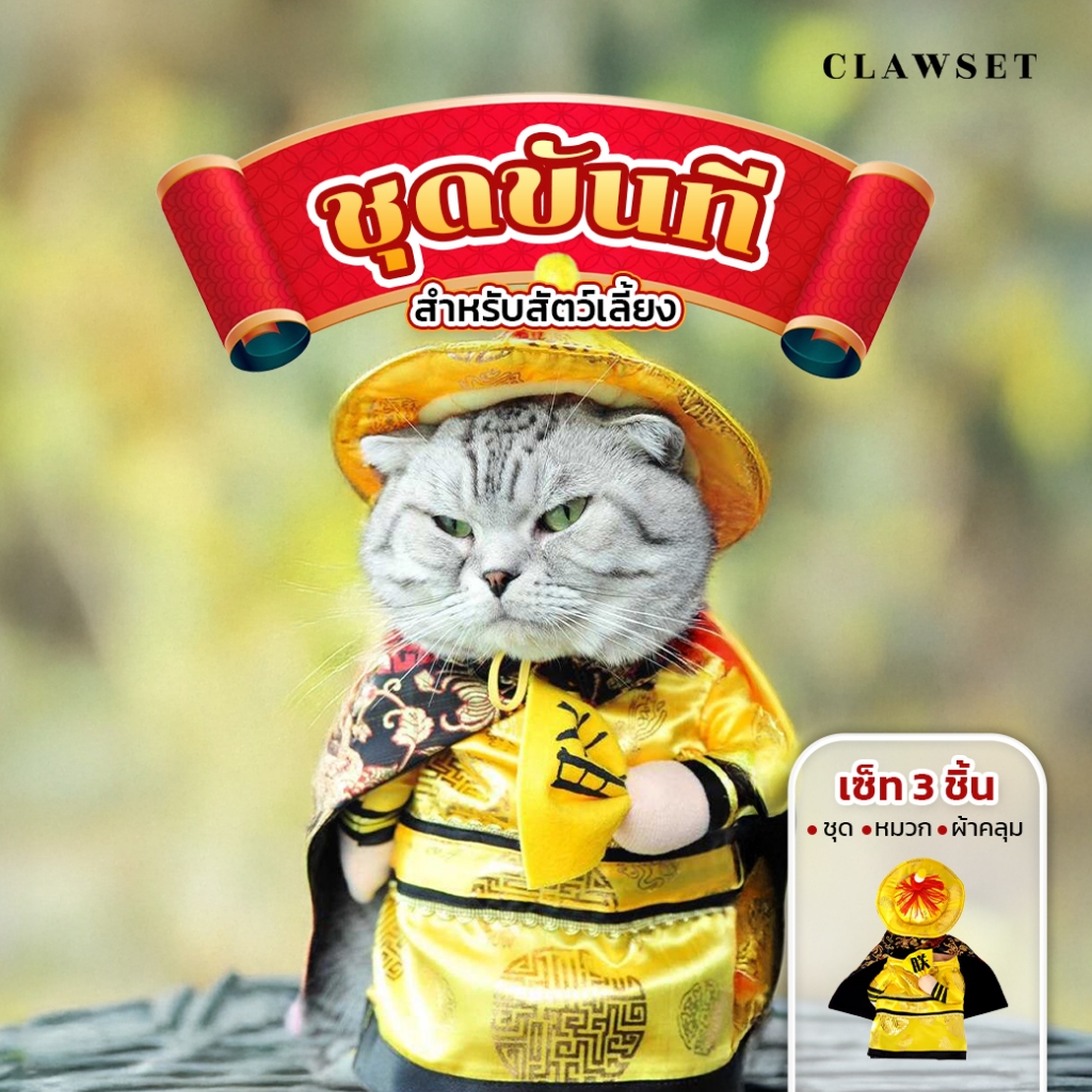 [สินค้าราคาพิเศษ] ชุดหมาแมวแฟนซี ล็อบสเตอร์แดงจี๊ดจ๊าด | CLAWSET.BKK