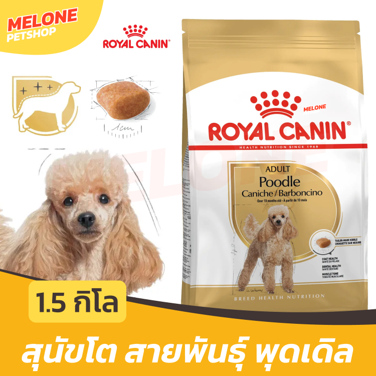 Royal Canin Poodle Adult อาหารสุนัข โรยัลคานิน พันธุ์ พุดเดิ้ล บำรุงขน เม็ดเล็ก อายุ 10 เดือนขึ้นไป ขนาด 1.5 kg