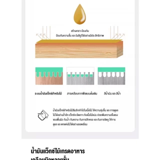 กรอบปีนแมว คอนโดแมวไม้ งานไม้พรีเมียม คอนโดแมว แคปซูลอวกาศ ตัวหนา เพิ่มความสูง condoแมว คอนโดแมวใหญ่ คอนโดแมวไม้จริง
