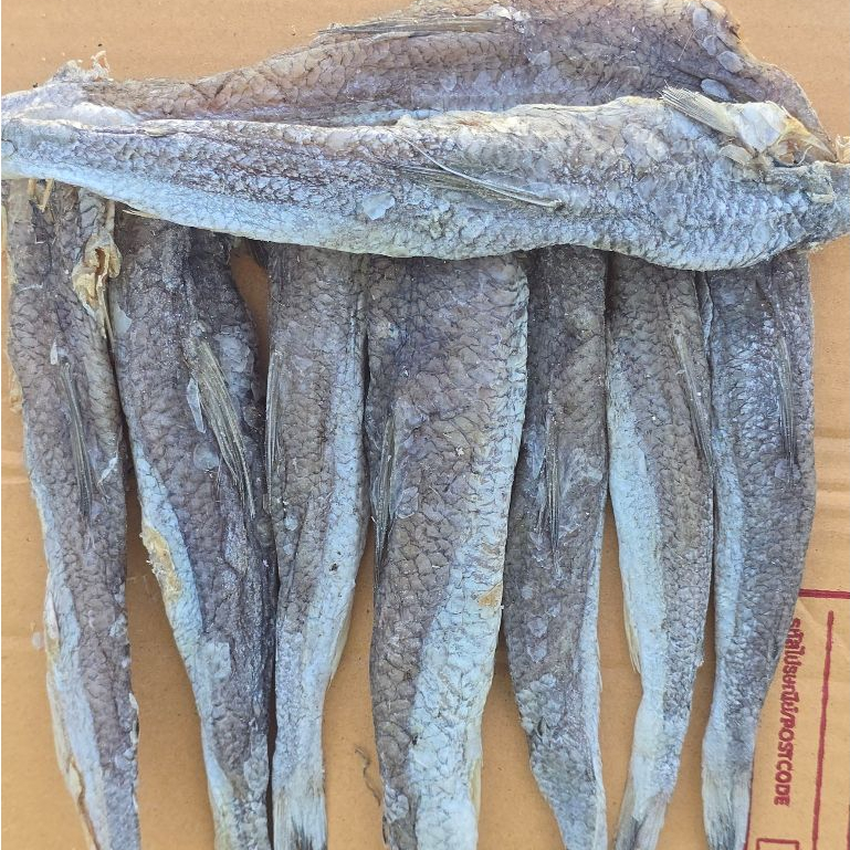 ปลาช่อน (500g/ 1 kg) Dried Sea Food