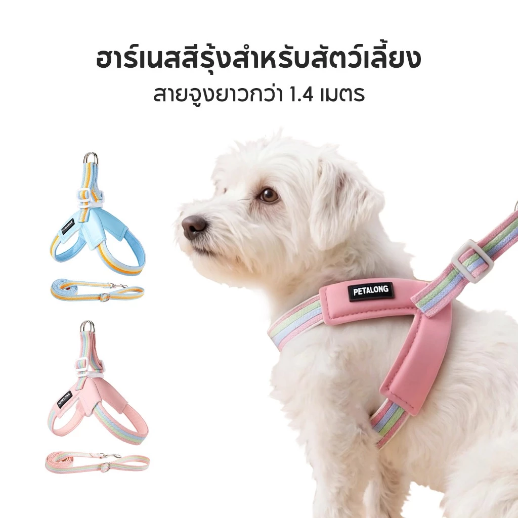 PETStar1สายรัดอกน้องหมาน้องแมว สะท้อนแสง ปลอดภัยยามค่ำคืน วัสดุนุ่มพิเศษ ไม่บาดผิว ระบายอากาศดีเยี่ยม ขนาด S-L