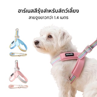 PETStar1สายรัดอกน้องหมาน้องแมว สะท้อนแสง ปลอดภัยยามค่ำคืน วั…