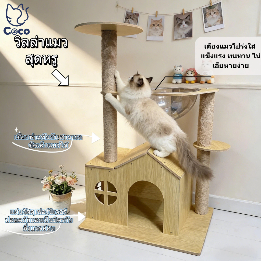 CocoPetบ้านสัตว์เลี้ยง คอนโดแมวหลุมอวกาศ ขนาดใหญ่ บ้านแมว เตียงแมว ที่ลับเล็บแมว ที่ฝนเล็บแมว ตู้ปีนไม้แมว อุปกรณ์แมว ที