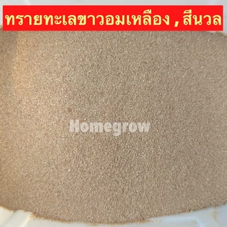 ทรายทะเลขาวอมเหลือง ทรายสีนวล ทรายตู้ปลา รองพื้นตู้ พร้อมส่ง ตู้ปลา ตกแต่งตุ้ปลา ทรายตู้ปลา