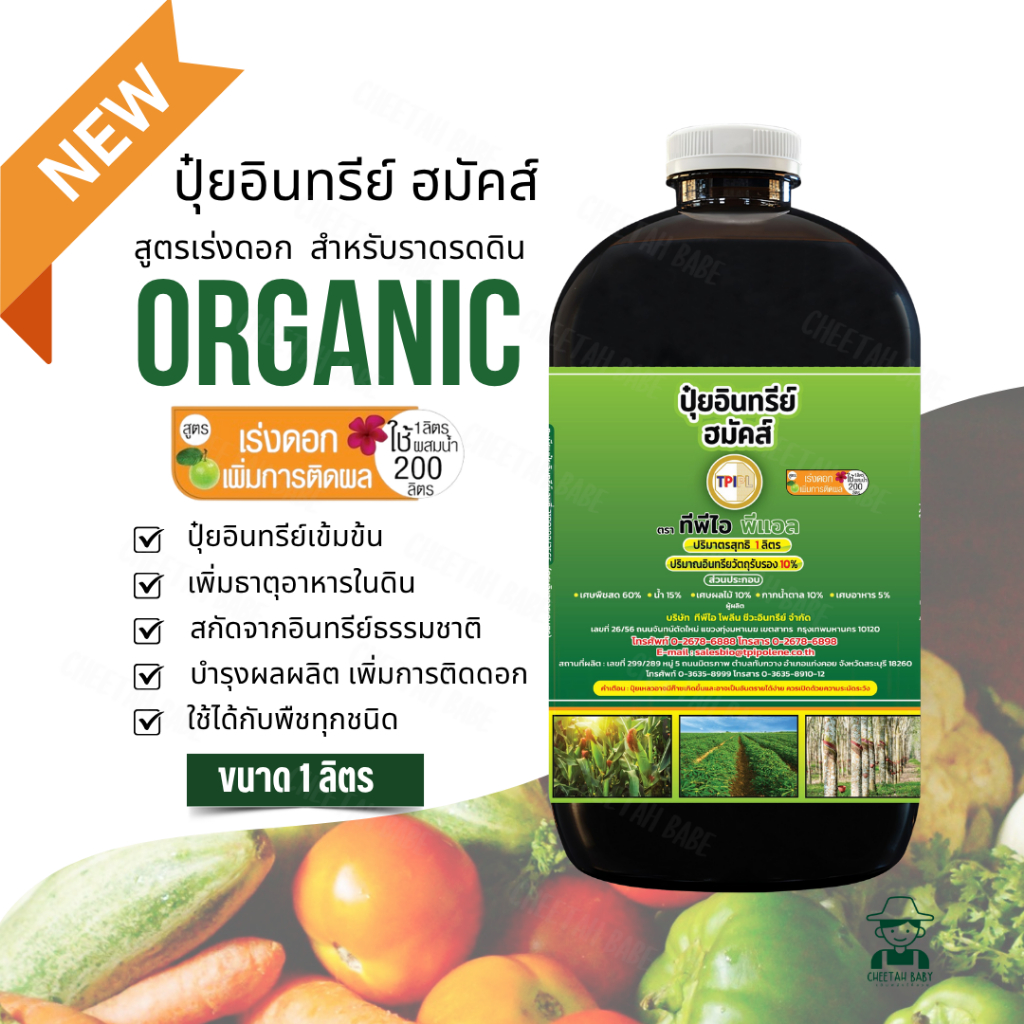 ((โฉมใหม่))สูตรบำรุงผลเร่งหวาน ปุ๋ยม่วงTPI (โกร ออแกนิค) สกัดจากอินทรีย์ธรรมชาติ สินค้าคุณภาพจาก TPIPL