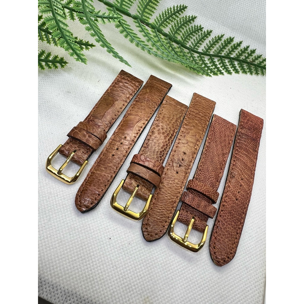 สายนาฬิกาหนังแข้งนกคัดพิเศษ 19 มิล แถมบัคเคิ้ลสีทอง