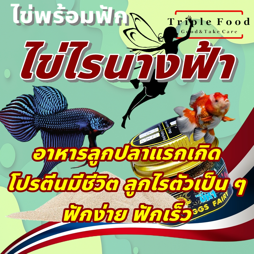 ไข่ไรนางฟ้า อาหารปลา Fish Food UHT อาหารลูกปลากัด อาหารลูกปลาแรกเกิด อาหารลูกปลา อนุบาลลูกปลา ทุกสาย