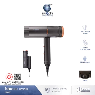 IWACHI ไดร์เป่าผม hair dryer GY-2100 1800W พับเก็บได้ พกพาสะดวก ปรับลมได้ 3 ระดับ ปรับลมร้อน/ลมธรรมชาติ/ลมเย็น
