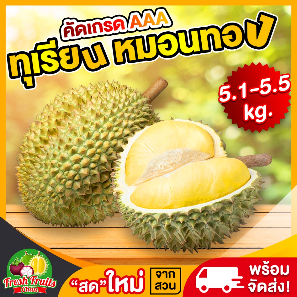 ‼️ส่งฟรี‼️💥ทุเรียนหมอนทอง5.1-5.5kg.(1-2ลูก)✅ตัดแก่คัดเกรดAAAส่งตรงจากสวนจันทบุรี