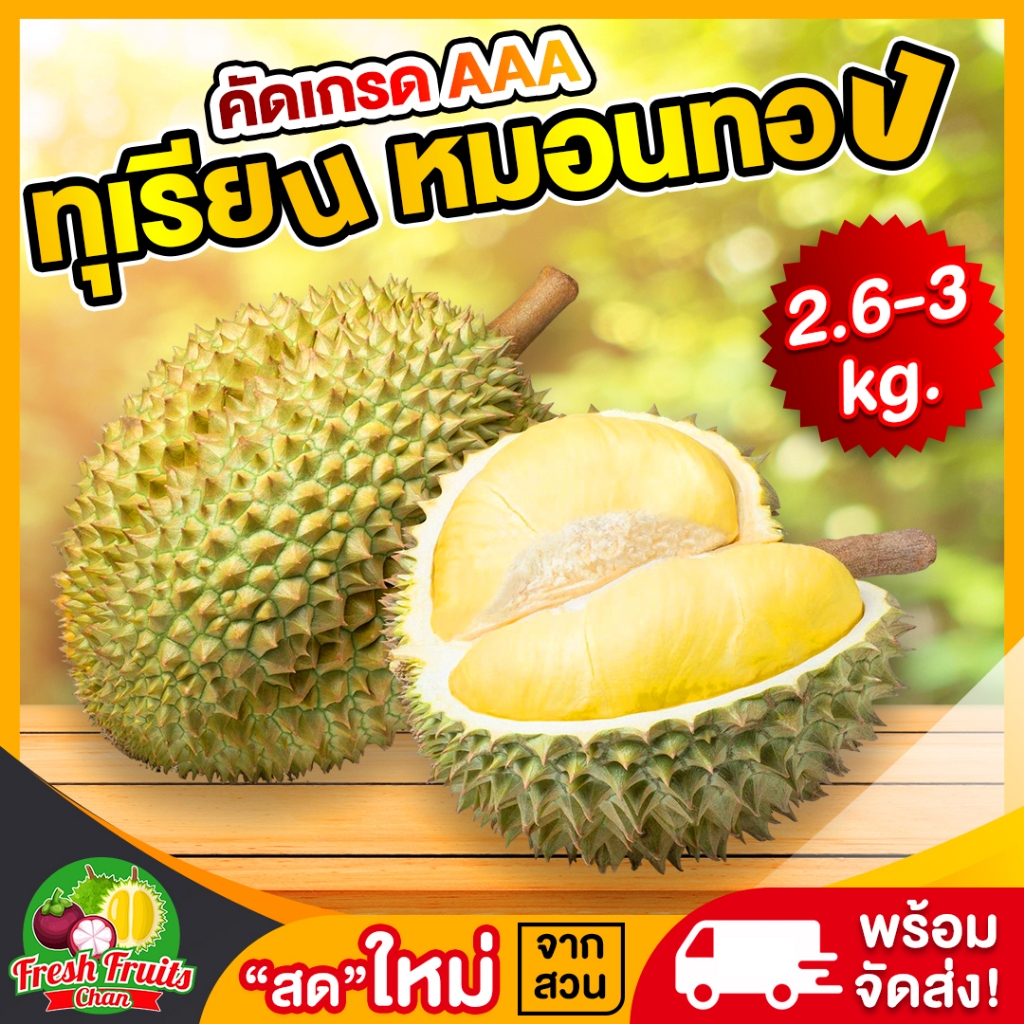 💥ส่งฟรี‼️ทุเรียนหมอนทอง2.6-3kg.(1ลูก)✅ตัดแก่คัดเกรดAAAส่งตรงจากสวนจันทบุรี