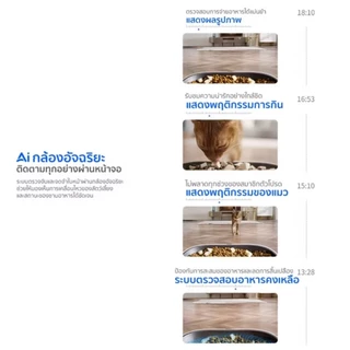 Petkit Yumshare Dual-Hopper With Camera 2 Upgrade [รุ่นใหม่2026] เครื่องให้อาหารอัตโนมัติ กล้องตรวจจับด้วย AI