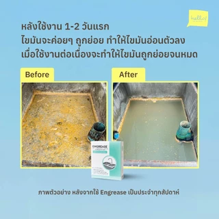 Engrease เม็ดเอนไซม์ชีวภาพสำหรับย่อยสลายไขมันและแก้ไขปัญหาอ่างล้างจานอุดตัน ช่วยแก้ซิงค์ตัน แก้ท่อตัน ไร้สารเคมี