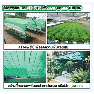 สแลนกันแดด กันUV100% คุณภาพเกรดA ลดแรง! หลายขนาด 2x10m 2x50m 2x100m หลายความเข้ม 50-90% แรงดึงสูง ไม่ขาดง่าย ส่งฟรี!
