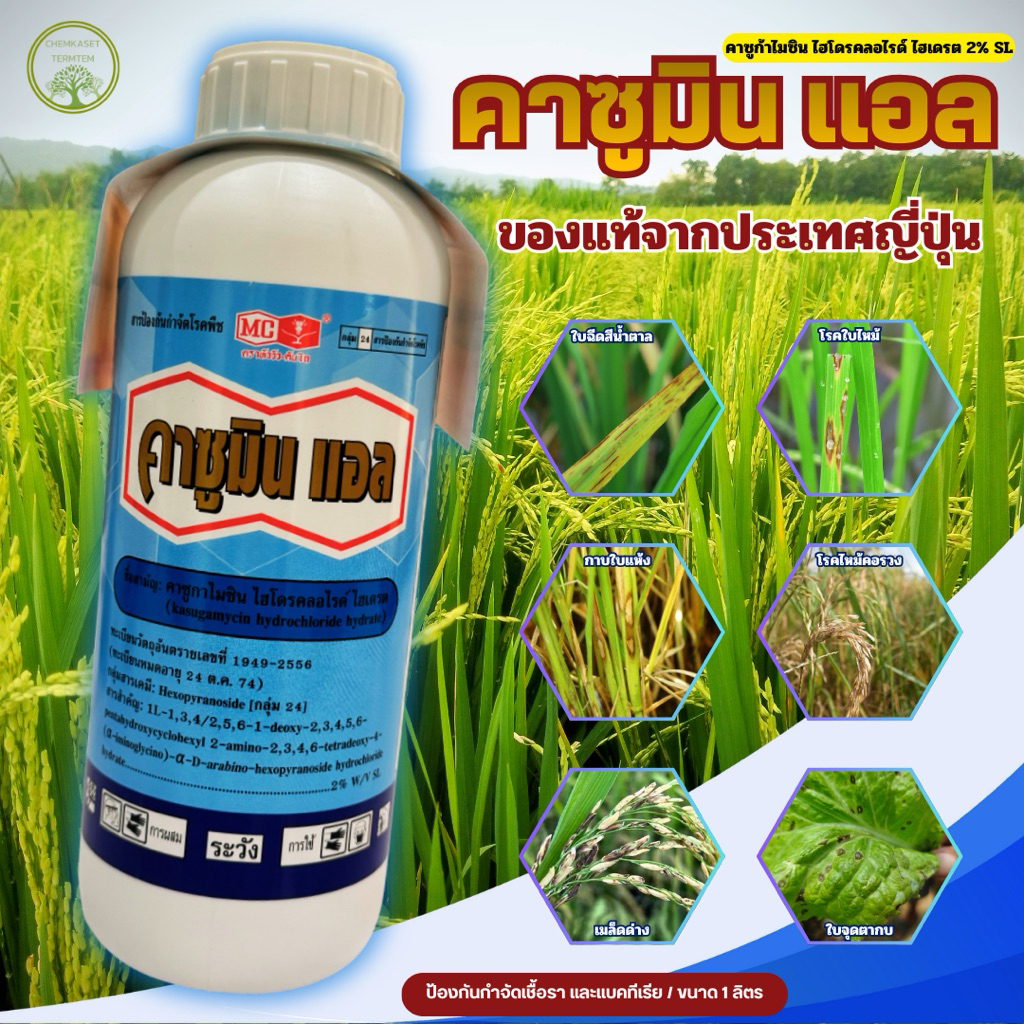 คาซูมินแอล(หัววัว-คันไถ) ขนาด 1 ลิตร 🥬สารป้องกันและกำจัดเชื้อรา+ไวรัส+แบคทีเรีย