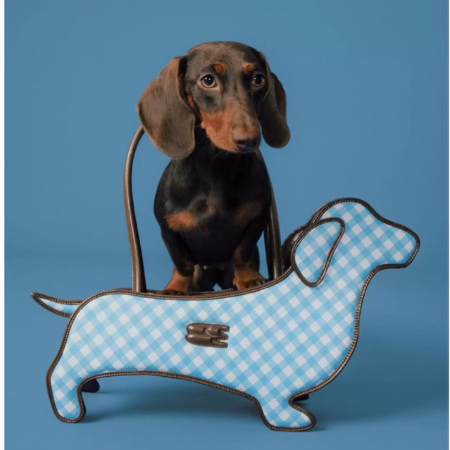 กระเป๋าทรงดัชชุน Crying Center