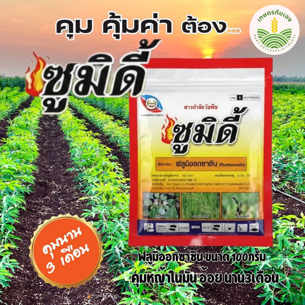 ซูมิดี้ ขนาด100กรัม ฟลูมิออกซาซิน คุมหญ้านาน3 เดือน ในอ้อย มัน