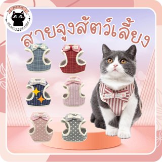 🌵 เสื้อรัดอก สายจูงสัตว์เลี้ยง สายจูงแมวรัดอก จูงหมา สําหรับ…