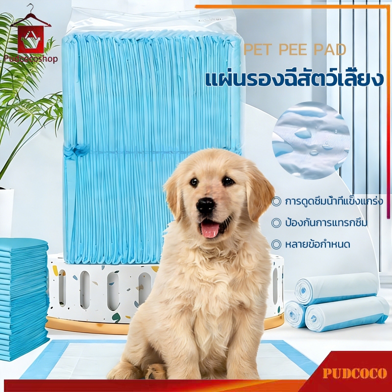 แผ่นรองฉี่สุนัข ห้องน้ำหมา แผ่นรองฉี กระต่าย แผ่นรองปัสสาวะสัตว์เลี้ยง ซึมซับไว ต่อต้านแบคทีเรีย ระงับกลิ่น 4 ขนาด