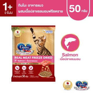 [ใหม่!]Ginno Dry Food with Freeze-Dried Meat Salmon กินโนะ อ…