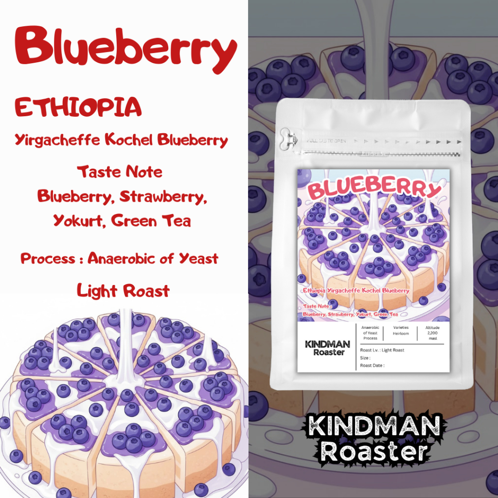 เมล็ดกาแฟ BLUEBERRY จาก Ethiopia Yirgacheffe Kochel Blueberry by KINDMAN Roaster