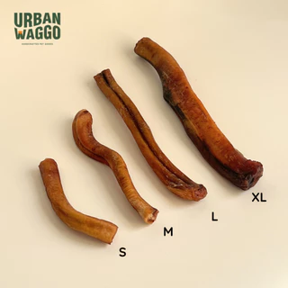 Bully Stick ตัวเดียวอันเดียววัวอบแห้ง จู๋วัว ขนมขัดฟัน ขนมสุนัข ขนมน้องหมา Urban Waggo