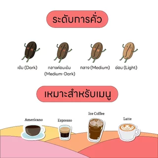 Frank's | เมล็ดกาแฟ อราบิก้าแท้ 100% THEP-SADET เทพเสด็จ เชียงใหม่ เกรดพรีเมี่ยม 200g./500g./1kg.