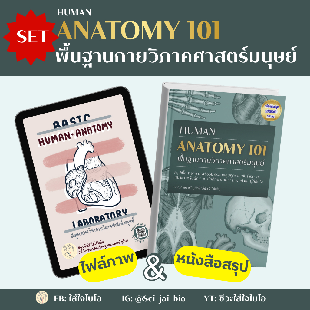 01 [set คู่] สุดคุ้ม! ไฟล์ภาพ anatomy laboratory และหนังสือ basic human anatomy