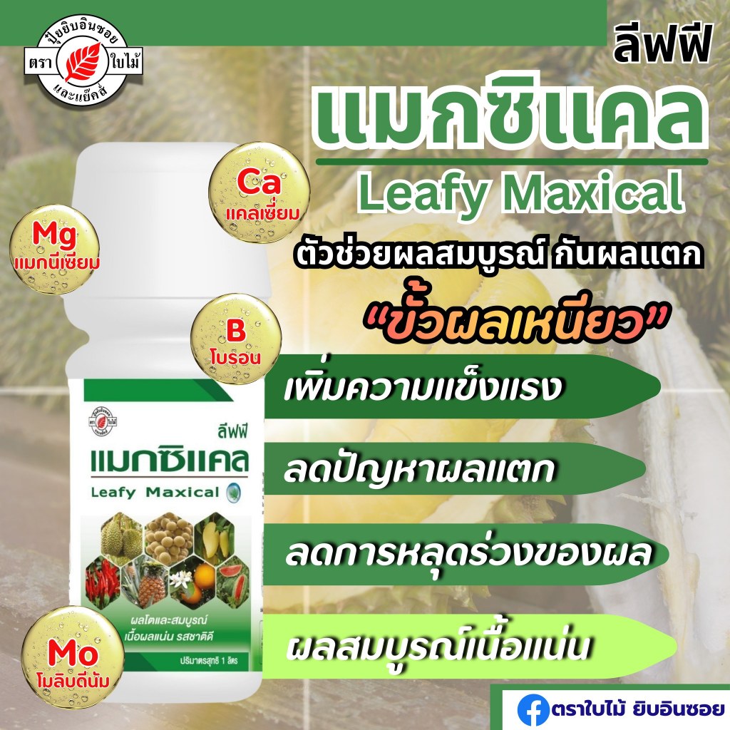 ลีฟฟี แมกซิแคล ขนาด 1 ลิตร ตราใบไม้ แมกนีเซียม แคลเซียมโบรอน น้ำใส ใบเขียว ขั้วเหนียว